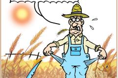 La vignetta del giorno