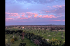 Salento, no alla «colonia» israeliana: naufraga tra polemiche e querele il progetto turistico della Coral 37 di Tel Aviv
