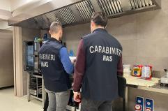Ristorante invaso dalle blatte e cibo contaminato: attività chiusa in un centro commerciale a Nord di Bari
