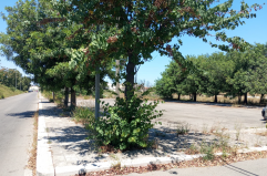 A Lecce al via l’area sosta per i camper il progetto da 600mila euro che diventa realtà