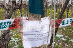 Brindisi, pugno di ferro del Comune contro le discariche abusive di rifiuti speciali pericolosi