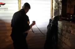 Andria, lo spaccio di droga era affare di famiglia: 6 arresti, l'attività gestita da due fratelli, coinvolti anche minori VIDEO