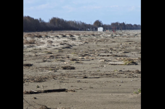 Barletta, le dune non si toccano: «Il Jova Beach si terrà altrove»