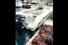 Ritrovata a Taranto una delle barche rubate agli Argonauti a marina di Pisticci