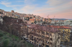 Potenza, insetti invadono la città: a mezzanotte disinfestazione straordinaria