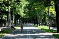 Sostenibilità, nel report di Legambiente «Ecosistema Urbano» Lecce migliore di Puglia, 53esima. Foggia fanalino di coda, 91esima