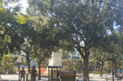 Bari, in Piazza Umberto slittano i tavolini: i locali valutano di spostare l’iniziativa in primavera