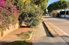 Trani, la pista ciclabile è inagibile: «È troppo pericolosa»