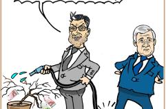 La vignetta del giorno