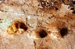 Domenica visite guidate e gratuite nella cava dei dinosauri di Altamura Domenica visite guidate e gratuite nella cava dei dinosauri di Altamura