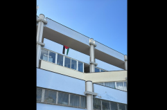 San Giorgio Jonico, «La bandiera della Palestina va rimossa»: esposto al Prefetto San Giorgio Jonico, «La bandiera della Palestina va rimossa»: esposto al Prefetto