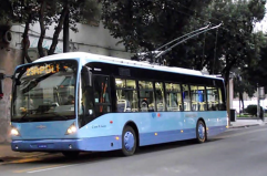 Referendum sul filobus a Lecce, freno del Tar Referendum sul filobus a Lecce, freno del Tar