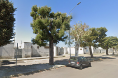 Scontri fra tifosi, rissa e petardi: sospeso match Coppa Italia a Veglie, 9 fermati, anche 5 minori