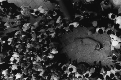 La vita come ricerca, sempre a caccia di una rivelazione