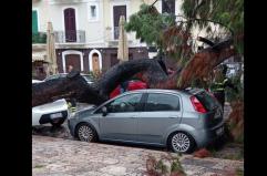 Smottamenti dell'asfalto, allagamenti, alberi sradicati: si contano i danni del maltempo a Bari FOTO/VIDEO