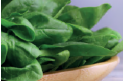 Mangiare per essere felici, nutrire mente e intestino