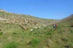 Ecco cosa fare in Puglia e in Basilicata nel weekend dal 21 al 23 novembre 2025