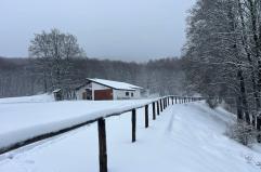 Prime nevicate su Monti Dauni e Potenza, in Puglia il gelo e scatta l'allerta gialla