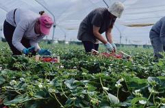 Basilicata, esportazioni in ripresa: exploit verso Usa e Turchia