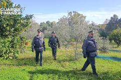 Oltre 2 milioni di euro di contributi non versati: 30 imprenditori agricoli denunciati a Matera
