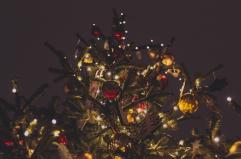 Celle San Vito, i volti dei bimbi decorano l’albero di Natale del borgo più piccolo della Puglia