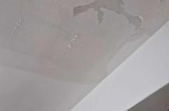 Monopoli, piove nell’alloggio popolare: residenti esasperati chiedono un intervento urgente