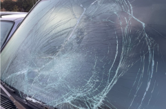 Atti vandalici contro l'auto del responsabile WWF della provincia di Foggia. «Non è la prima volta»