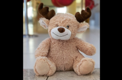 Bari, al "Karol Wojtyla" un peluche siede sotto l'albero di Natale: «Aiutateci a farlo tornare a casa»