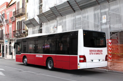 Vandali e bulli sui bus natalizi notturni a Barletta, l’ira del sindaco Cannito: interrompo il servizio