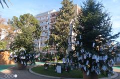 I biglietti dei bambini a Babbo Natale riempiono l&rsquo;albero dei desideri in piazza Garibaldi