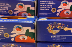 A Roma una vetrina per tutto il made in Italy