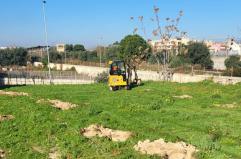 A Monopoli decine di alberi per realizzare il Giardino dei nuovi nati nel 2025