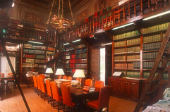 Quando la Lucidit&agrave; &egrave; potere, l&rsquo;Intelligence &egrave; il vero paradigma della cultura