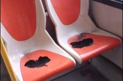 I nuovi bus cittadini &laquo;prestati&raquo; per la partita Cerignola-Benevento e vandalizzati: ad Andria scoppia il caso