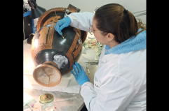 Gioia del Colle riscopre la sua storia: da Natale una mostra dei beni trafugati tornati... a casa