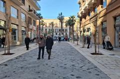 Bari, in via Argiro "sbocciano" alberi: piantumate le essenze tipiche della macchia mediterranea