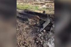 Incendio nell'area naturale di Punta del Serrone, il sindaco di Brindisi: &laquo;Non &egrave; semplice vandalismo&raquo;