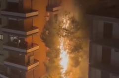 Foggia, albero prende fuoco dopo i fuochi d&rsquo;artificio di Capodanno: il video