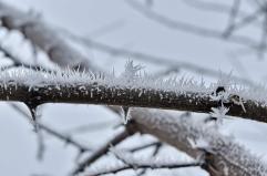 Rapida ondata di freddo al Sud: in Puglia arriva la neve sui Monti Dauni e sulla Murgia