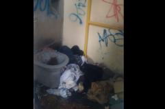 Bari, il bagno pubblico trasformato in discarica: lo scempio a pochi passi dagli uffici giudiziari di Poggiofranco