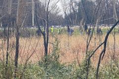 Foggia, cadavere trovato sulla strada statale 16: forse colpito da un cavo elettrico