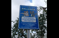 &laquo;Rallenta, anche noi abbiamo famiglia&raquo;: la segnaletica stradale che tutela i gatti a Salice Salentino