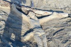 Dalla furia delle mareggiate del Salento nasce l&rsquo;arte: a Gallipoli un Cristo emerge dalla sabbia