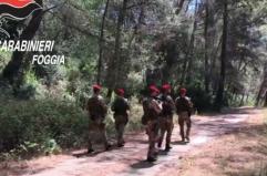 Mafia Garganica, la Dda chiede 42 condanne nel maxi processo Mari e Monti