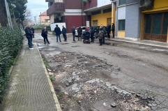 Barletta, &laquo;le radici degli alberi mettono a rischio la palazzina&raquo;