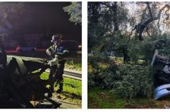 Tragedia nella notte: auto finisce contro un albero sulla Mola di Bari-Rutigliano, morta una ragazza. Tre in codice rosso