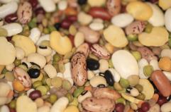 Il 10 febbraio &egrave; la giornata mondiale dei legumi: la Puglia ne &egrave; la patria con una produzione annua di oltre 900mila quintali