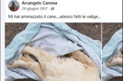 Taranto, l'istruttore del cane-eroe Bruno e quelle denunce sui social con altri animali uccisi: una nuova discrepanza