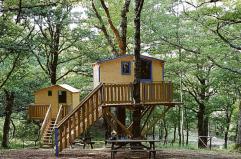 Il bosco di Biccari &egrave; il primo in Puglia a ottenere la certificazione forestale: &laquo;Un traguardo storico&raquo;