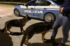 Brindisi, poliziotti salvano due cani scappati dalla loro casa: rischiavano di essere investiti